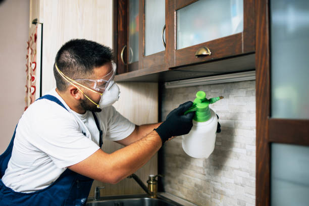Best Pest Prevention Services  in Lakes Of The Four Seasons, IN