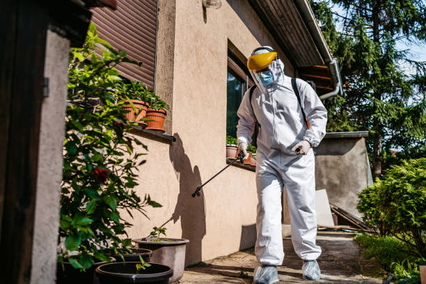 Best Cockroach Control Services  in Lakes Of The Four Seasons, IN