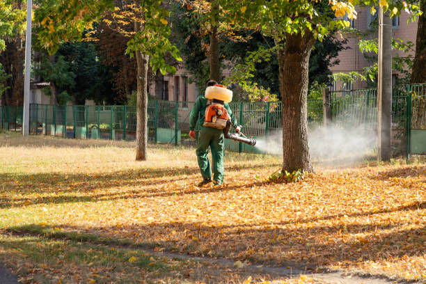 Best Rodent Control Near Me  in Lakes Of The Four Seasons, IN