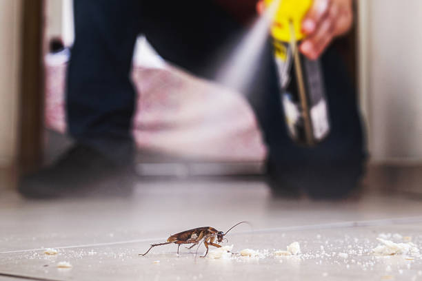 Professional Pest Control in Lakes Of The Four Seasons, IN