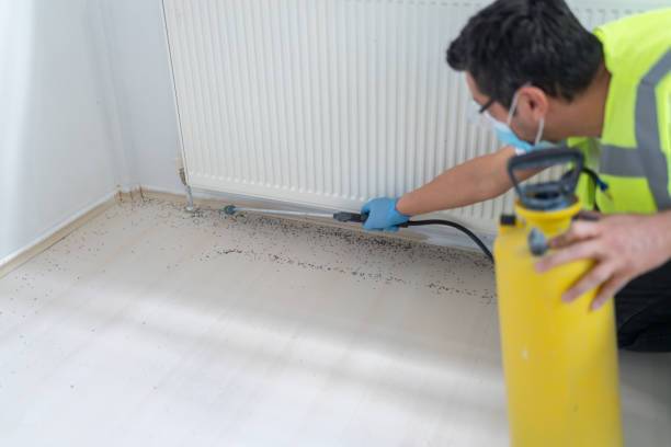 Best Wasp Removal Services  in Lakes Of The Four Seasons, IN